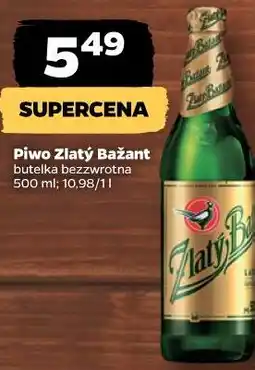 Netto Piwo Zlatý Bažant butelka bezzwrotna oferta