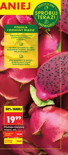 Biedronka Pitahaja czerwony miąższ, szt oferta