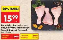 Biedronka Podudzie z kurczaka bez antybiotyków Kraina Mięs Select Kurczak farmerski oferta