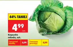 Biedronka Kapusta młoda, szt oferta
