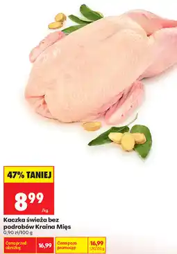 Biedronka Kaczka świeża bez podrobów Kraina Mięs oferta