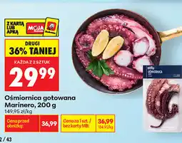 Biedronka Ośmiornica gotowana Marinero oferta