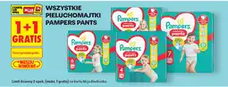 Biedronka WSZYSTKIE PIELUCHOMAJTKI PAMPERS PANTS oferta