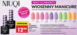 Biedronka Żel w pędzelku pastel Niuqi, 5 ml różne rodzaje oferta