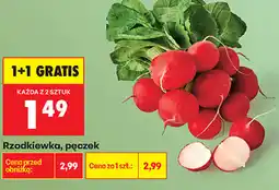 Biedronka Rzodkiewka, pęczek oferta