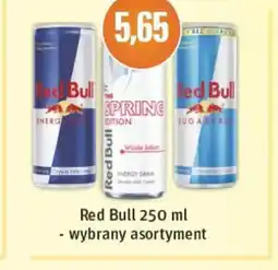 Mirabelka Red Bull oferta