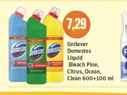 Mirabelka Unilever Domestos Liquid oferta