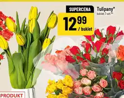 Polomarket Tulipany oferta