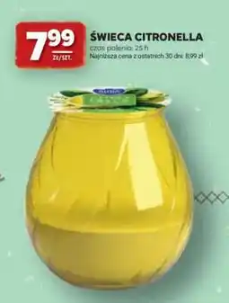 Stokrotka Market Świeca citronella oferta