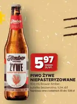 Stokrotka Market Piwo Żywe Niepasteryzowane oferta