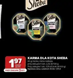 Stokrotka Market Karma dla kota Sheba oferta