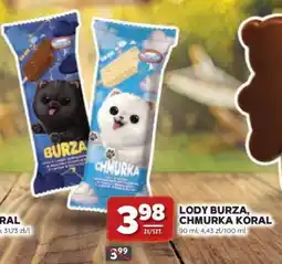 Stokrotka Market Lody Burza, Chmurka Koral oferta