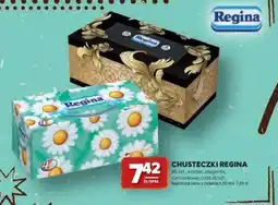 Stokrotka Market Chusteczki Regina oferta