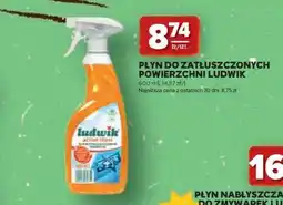 Stokrotka Market Płyn do Zatłuszczonych Powierzchni Ludwik oferta