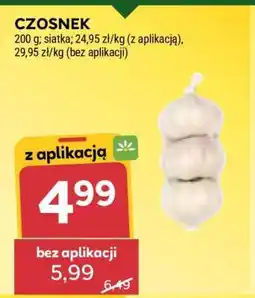 Stokrotka Market Czosnek oferta