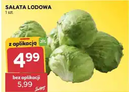 Stokrotka Market Sałata lodowa oferta