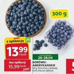 Stokrotka Market Borówki amerykańskie oferta