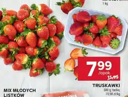 Stokrotka Market Truskawki oferta