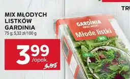 Stokrotka Market MIX MŁODYCH LISTKÓW GARDINIA oferta