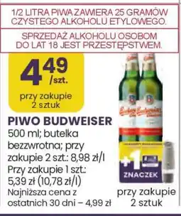 Stokrotka Market Piwo Budweiser oferta