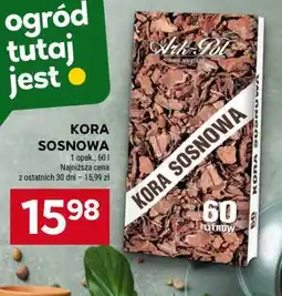 Stokrotka Market Kora Sosnowa oferta