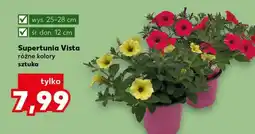 Kaufland Supertunia Vista oferta
