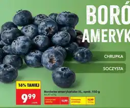 Biedronka Borówka amerykańska XL, opak. 150 g oferta