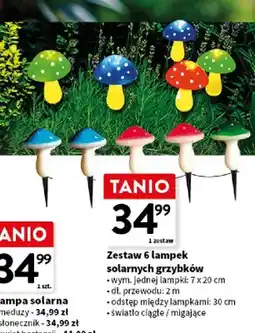 Intermarche Zestaw 6 lampek solarnych grzybków oferta