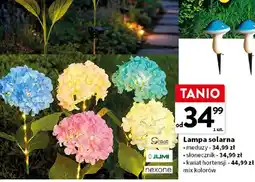 Intermarche Lampa solarna kwiat hortensji mix kolorów oferta