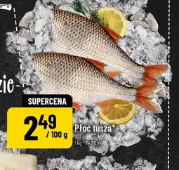 Polomarket Płoć tusza oferta