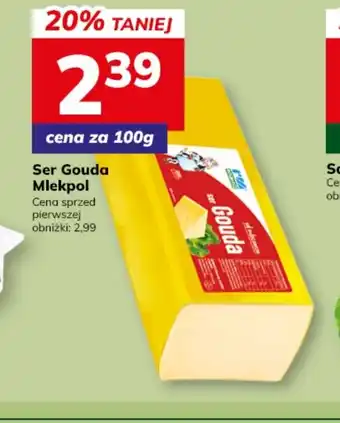 Ser Gouda Mlekpol