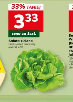 Hitpol Sałata zielona oferta