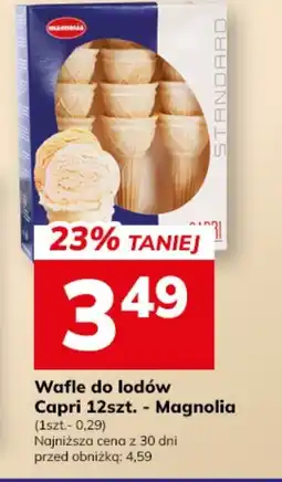Hitpol Magnolia Wafle do lodów Capri oferta
