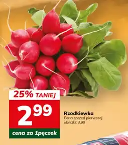 Hitpol Rzodkiewka oferta