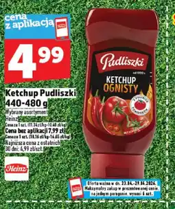 Topaz Ketchup Pudliszki Ognisty oferta