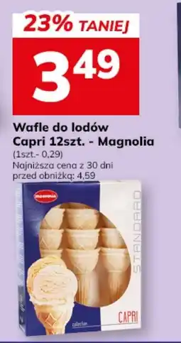 Hitpol Magnolia Wafle do lodów Capri oferta