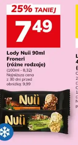 Hitpol Nuii Lody oferta