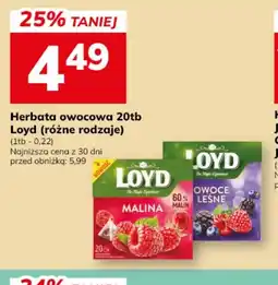 Hitpol Herbata owocowa Loyd oferta
