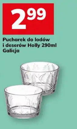 Hitpol Pucharek do lodów i deserów Holly Galicja oferta