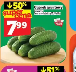 Topaz Ogórek gruntowy oferta