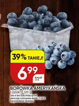 Chata Polska Borówka amerykańska oferta