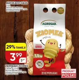Chata Polska Ziemniaki ziomek oferta