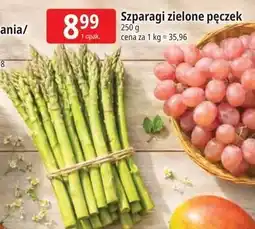 E.Leclerc Szparagi zielone pęczek oferta
