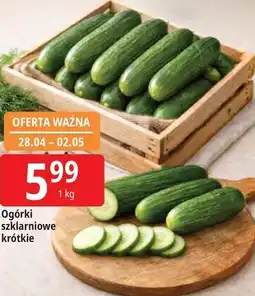 E.Leclerc Ogórki szklarniowe krótkie oferta