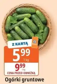 E.Leclerc Ogórki gruntowe oferta