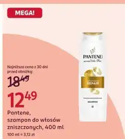 Rossmann Pantene, szampon do włosów zniszczonych oferta