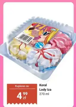 Dino Lody Iza Koral oferta