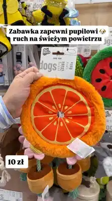 Pepco Zabawka dla psa frisbee oferta