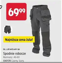 Jula Spodnie robocze Bluewear rozmiary 46-60 czarny szary oferta