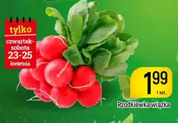 Delikatesy Piotruś Pan Rzodkiewka wiązka oferta